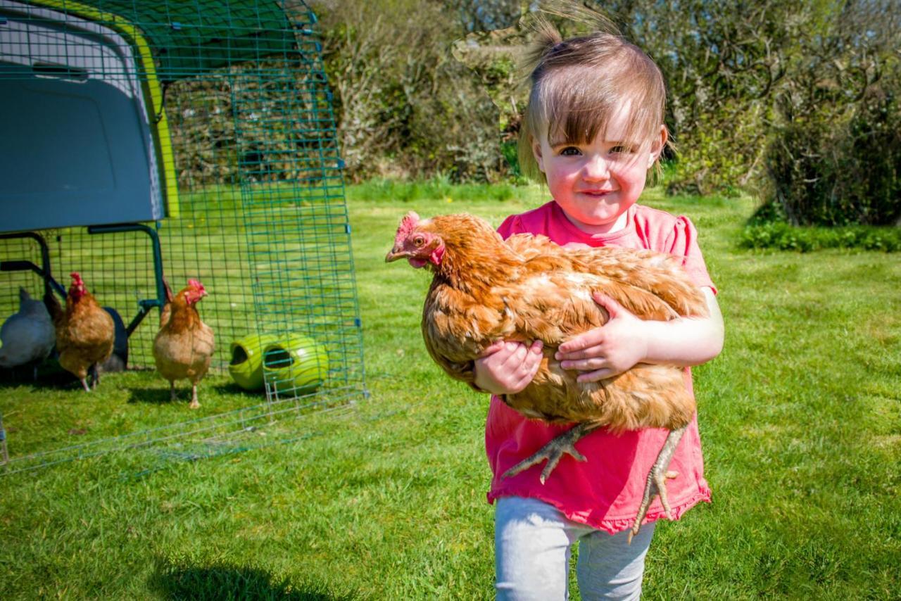 Villa Cargurra Park Farm à Boscastle Extérieur photo